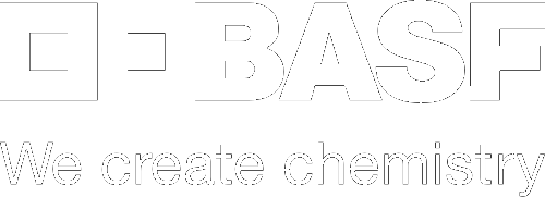 BASF Chemical &amp; Plastics