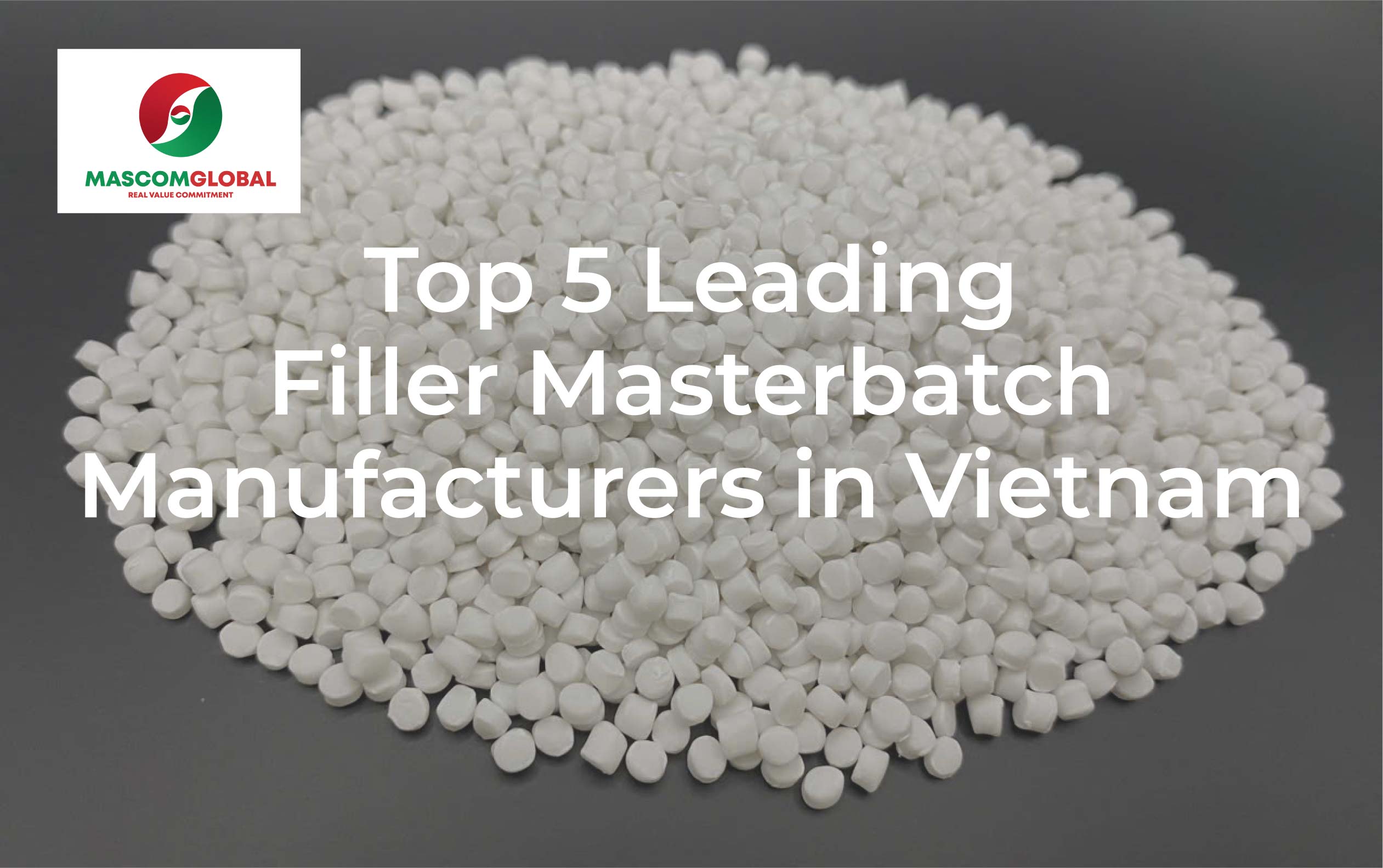 Top 5 Leading Filler Masterbatch Manufacturers in Vietnam