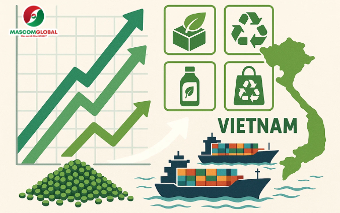 PET Masterbatch Vietnam in Global Supply Chains